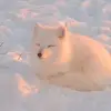 Autumn - @autumn.._bloom - TikTok