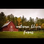 🍁Autumn Bloom 🎀 - @autumnbloomfarms - Instagram