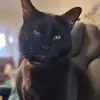 Autumn Bloom Fables - @autumn.bloom.fables - TikTok