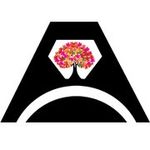 Autumn Bloom Films - @autumnbloomfilms - Instagram