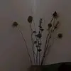 autumnblooms - @autumnblooms.8 - TikTok