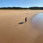 Nic McHoff - @autumnbones - Instagram