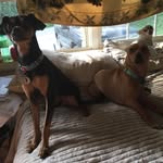 Autumn Bragg - @grogan919 - Instagram