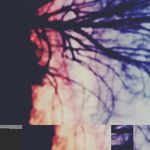 bella Autumn branch - @bellautumn20 - Instagram