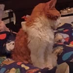 Brooke Collier - @autumncollier65 - Instagram