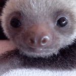 Autumn Cooke - @cookie_monster2001.9 - Instagram
