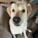 Autumn Dickens - Facebook