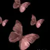 Autumn - @autumnfleming_12 - TikTok