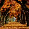 Autumn - @autumnlightner - TikTok