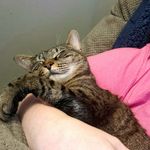 Autumn McLaughlin - @mycatsherbert - Instagram