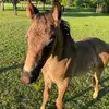 Autumn_Spike - @autumn_spike - TikTok