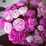 @autumn__rainbow - Instagram