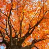 Autumn Rainbow - @autumn_rain_bow - TikTok