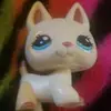 autumnriggs66 - @autumnriggs66 - TikTok