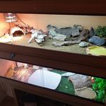 Autumn & Sheldon The Reptiles - @autumnandsheldonthereptiles - Instagram