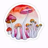 autumnshroom - @autumnsroomm - TikTok