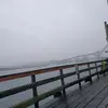 Autumn White - @autumn.white02 - TikTok