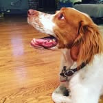 @avaahern2376 - Instagram