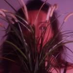 𝔸𝕧𝕒 𝔹𝕒𝕣𝕟𝕖𝕤 - @avanrbarnes - Instagram