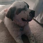 Ava Byrd - @ava.goose06 - Instagram