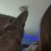 avaaa - @ava.byrdd - TikTok