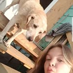 ava cannon - @avacannon03 - Instagram
