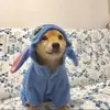 AvaChu - @avac444 - TikTok