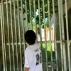 Avachu - @avachu73 - TikTok