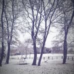 Ava Costello - Facebook