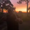ava - @avadacosta - TikTok