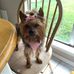 Ava Daugherty - Facebook