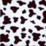 Ava Decker - @chris.decker.735 - Instagram