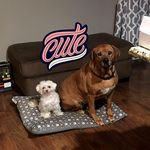 Ava Dempsey - @dempsey4535 - Instagram