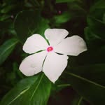 @ava_diamond._ - Instagram