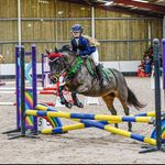 AVA DONALDSON - @avalilyequestrian - Instagram