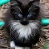 Ava Foster - @afoss816 - TikTok