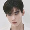 cha Eun woo - @avagaines1122 - TikTok