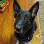 Eva Gaines - @eva_likes_sticks_210 - Instagram