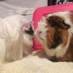Ava Glass - @ava_glass08 - Instagram