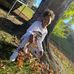 Ava Higginbotham - Facebook