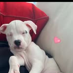 Ava Holloway - Facebook