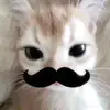 aava.aurora丰 - @aava.aurora - TikTok