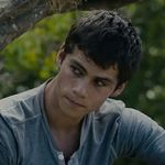 Ava | the maze runner♡︎ - @newtsscute - Instagram