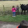 Ava - @its.ava.nicholas - TikTok