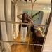 Ava Nicholson - Facebook