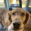 Ava Palmer - @avster9779 - TikTok