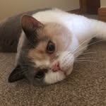 Ava Powell - @tinypow100 - Instagram