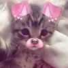 Ava_Preston - @ava_preston58 - TikTok