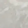 avapreston - @avapreston59 - TikTok