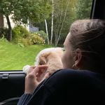 Av - @ava_read_ - Instagram